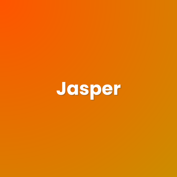 Jasper Premium (1 Month)