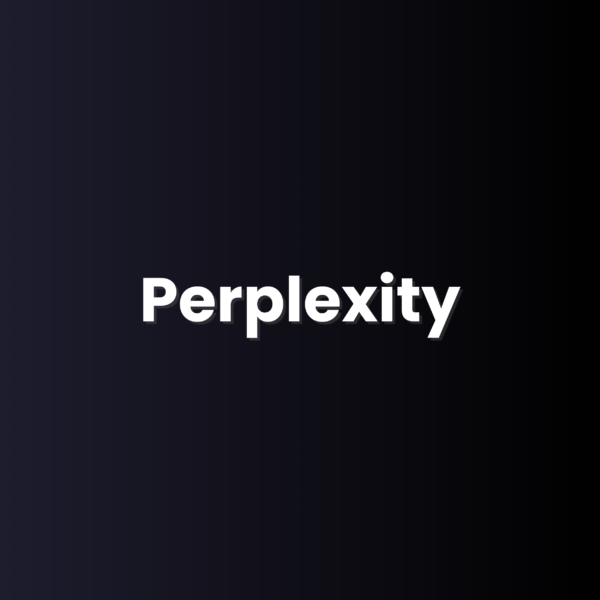 Perplexity (12 Months)