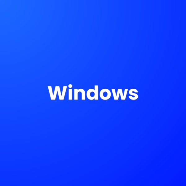 Windows 10 & 11 Pro Lifetime